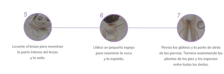 examen-inferior