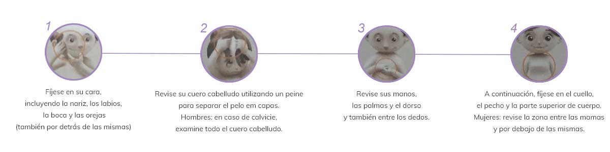 examen-superior-2